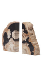 Petrified Wood Bookends
